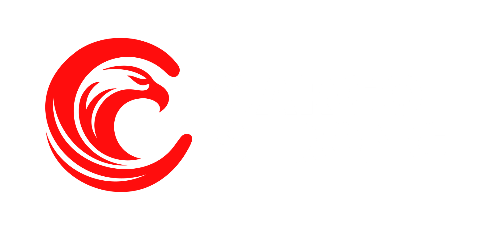 Servicios de Logística en Venezuela | Cargo Strong